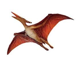 Ptéranodon
