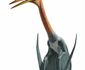 Quetzalcoatlus