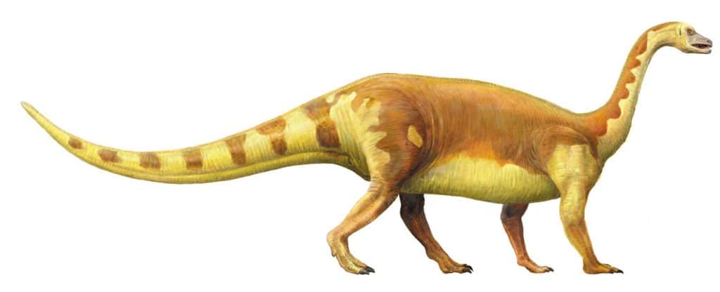 Riojasaurus