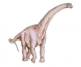 Sauroposeidon