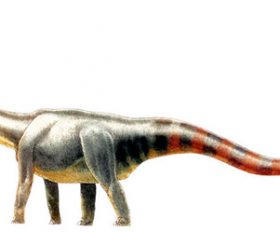 Seismosaurus