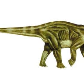Shunosaurus