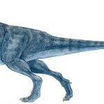 Stegoceras