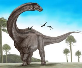 Supersaurus
