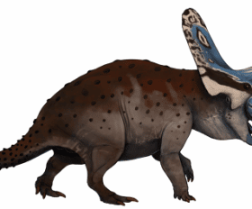 Torosaurus