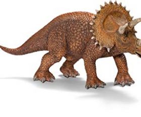 Triceratops