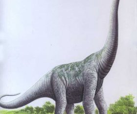 Ultrasaurus