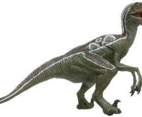 Velociraptor