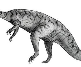 Yimenosaurus