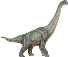 Brachiosaure