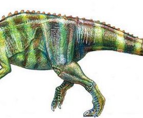 Camptosaurus