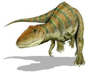 Carcharodontosaure