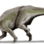 Centrosaurus