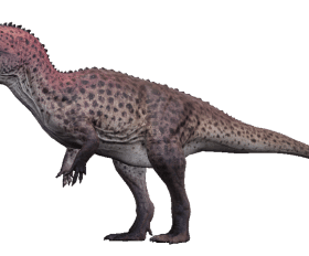 Ceratosaurus