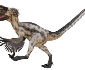 Deinonychus