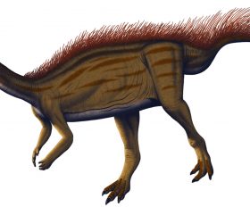 Dryosaurus