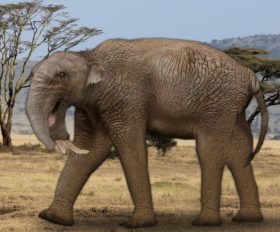 Deinotherium