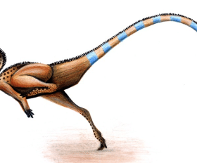 Agilisaurus