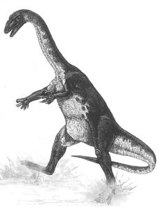 Amnosaurus - dinosauress