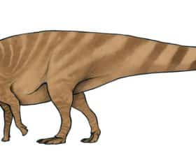 Amtosaurus