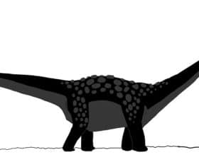 Antarctosaurus