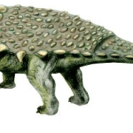Anoplosaurus
