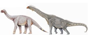 Astrodon - dinosauress
