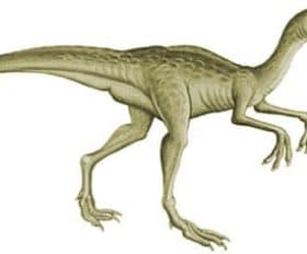 Kakuru