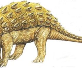 Pinacosaurus
