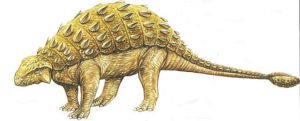 Pinacosaurus - dinosauress
