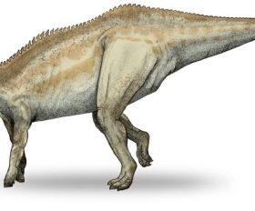 Shantungosaurus