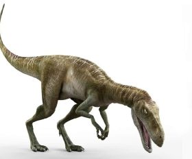 Staurikosaurus