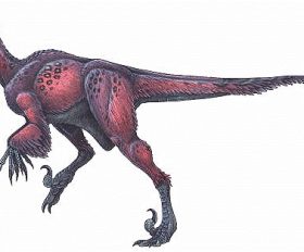 Adasaurus