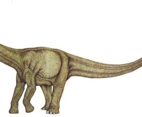 Aepisaurus