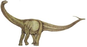 aepisaurus - dinosauress