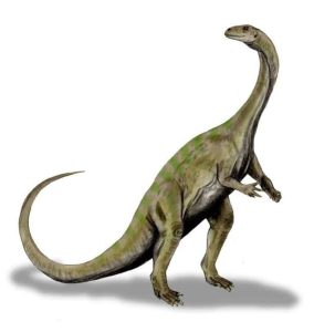 aetonyx - dinosauress