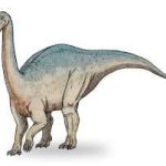 Agrosaurus
