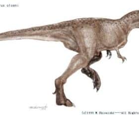 Alectrosaurus