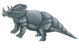 ceratops - dinosauress