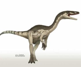 Coelophysis