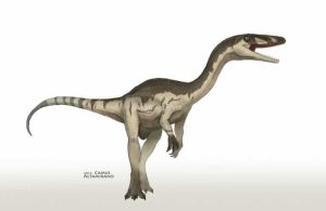 coelophysys - dinosauress