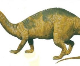 Mussaurus