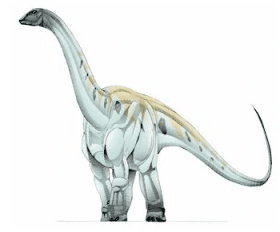 Argyrosaurus
