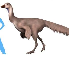 Arkansaurus