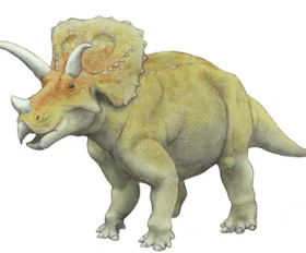 Arrhinoceratops