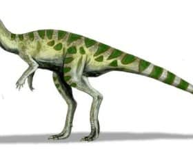 Atlascopcosaurus