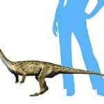 Azendohsaurus