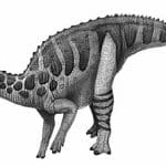 Bactrosaurus