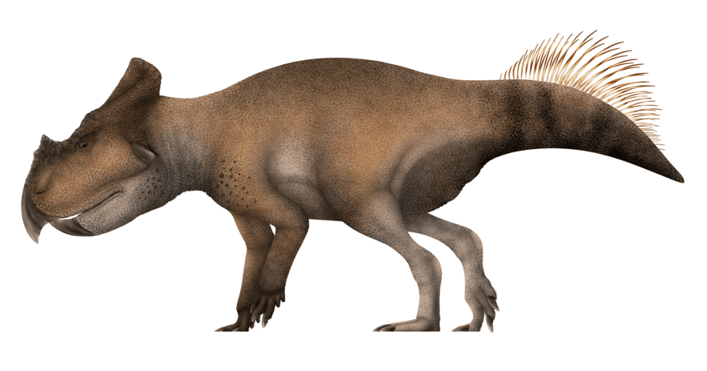 Bagaceratops | Dinosauress