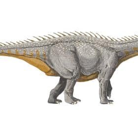 Barapasaurus